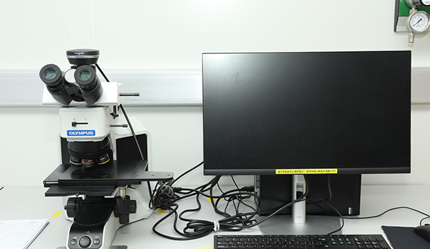 Optical Microscope